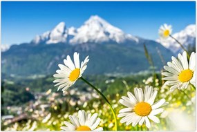 Tablou - Primăvara în Alpi (90x60 cm)