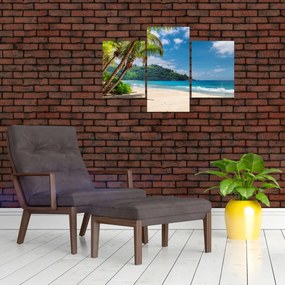 Tablou - Caraibe (90x60 cm)