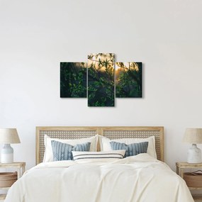 Tablou - Soarele strălucind printre crengile copacilor (90x60 cm)