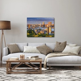 Tablou - Panorama Rotterdamului, Țările de Jos (70x50 cm)