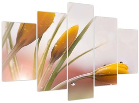 Tablou - Flori de primăvară (150x105 cm)