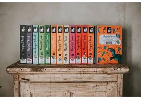 Janod - Set interactiv magnetic MAGNETIBOOK animale