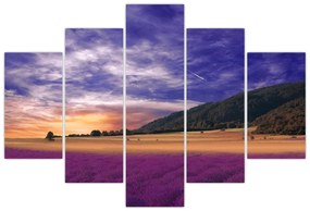 Tablou cu lunca cu lavandă (150x105 cm)