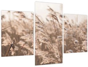 Tablou - Adiere de luncă (90x60 cm)