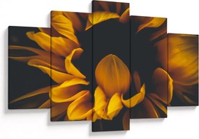 Tablou - Floarea-soarelui în fundal negru (150x105 cm)