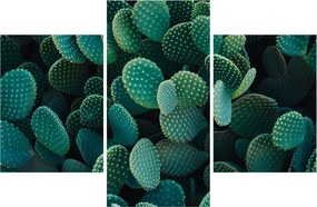Tablou - Opuntia (90x60 cm)