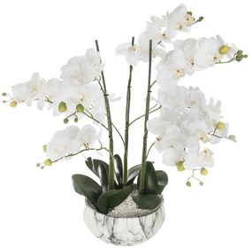 Floare decorativa Orhidee