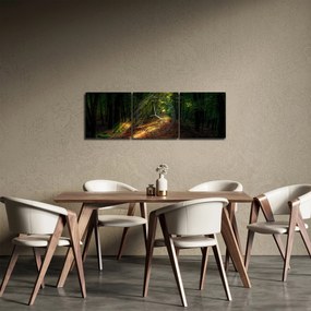 Tablou cu poteca prin pădure (cu ceas) (90x30 cm)
