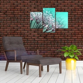 Tablou - planta cu rouă (90x60 cm)