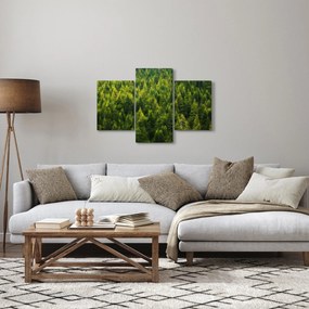 Tablou - Pădure deasă (90x60 cm)