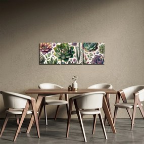 Tablou - Plante suculente (cu ceas) (90x30 cm)