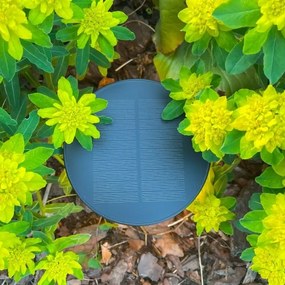 Lampă LED solară Zuma Line DT33611 CARLI LED/2W/2000 mAh IP44 negru