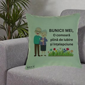 Cadou pentru Bunici - Perna Personalizata Bunicii Mei Comoara Cuplu Senior cu Flori Colorat, 40x40 cm, Verde, Husa Detasabila, Perna Inclusa, BEKZ®