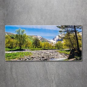 Tablou sticlă acrilică River în munți