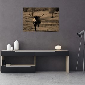 Tablou - Vacă din Texas (90x60 cm)