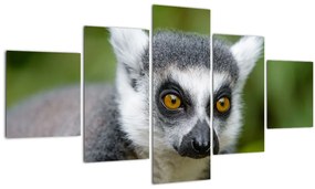 Tablou cu lemur (125x70 cm), în 40 de alte dimensiuni noi