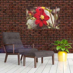 Tablou cu floare (90x60 cm)
