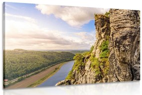 Tablou vedere la râul și pădure
