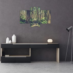Tablou cu drum între copaci (90x60 cm)