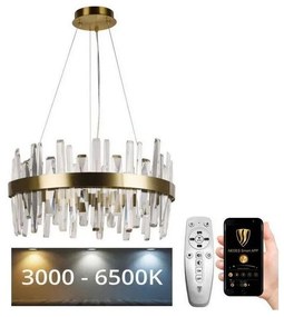 Lustră LED dimabilă pe cablu LED/80W/230V 3000-6500K auriu + telecomandă