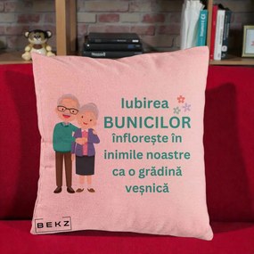 Cadou pentru Bunici - Perna Personalizata Bunicii Iubirea Infloreste Cuplu Senior Teal, 40x40 cm, Roz, Husa Detasabila, Perna Inclusa, BEKZ®