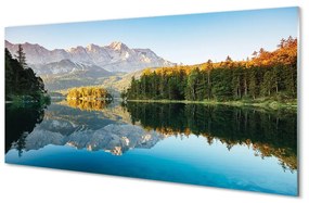 Tablouri acrilice Germania Munte lac de pădure
