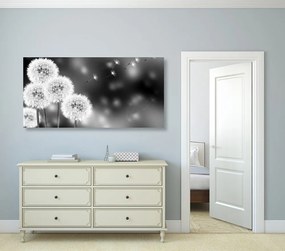 Tablou păpădie pufoasă în design alb-negru