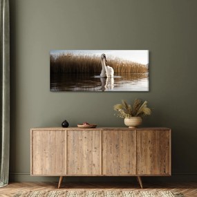 Tablou cu lebăda (120x50 cm)