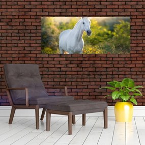 Tablou - Cal alb în poină (120x50 cm)