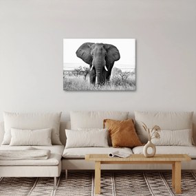 Tablou - Elefantul african II. (70x50 cm)