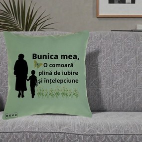 Cadou pentru Bunica - Perna Personalizata Bunica Mea Comoara cu Fluture si Baietel, 40x40 cm, Verde, Husa Detasabila, Perna Inclusa, BEKZ®
