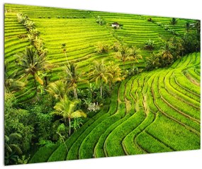Tablou - Terase de orez (90x60 cm)