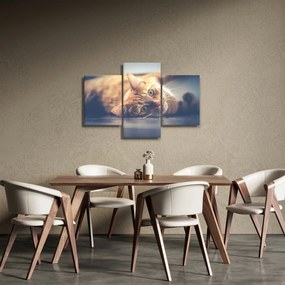 Tablou - Pisici pe podea (90x60 cm)