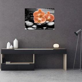 Tablou pe sticlă - Orhidee portocalii (70x50 cm)