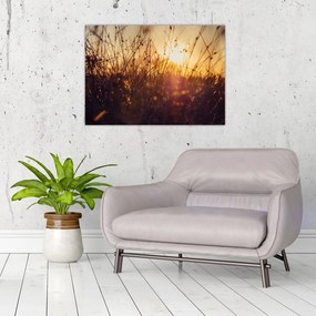 Tablou - Câmp la apus de soare (70x50 cm)
