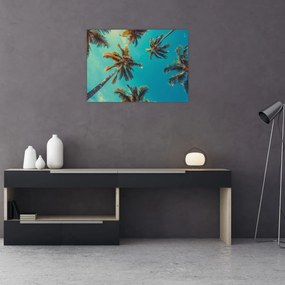 Tablou pe sticlă - Palmieri înalți (70x50 cm)