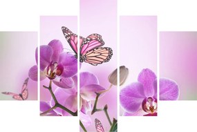 Tablou - Fluture pe flori de orhidee, liliac (150x105 cm)