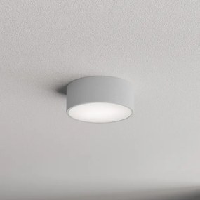 Plafonieră pentru baie CLEO 1xE27/24W/230V d. 20 cm gri IP54