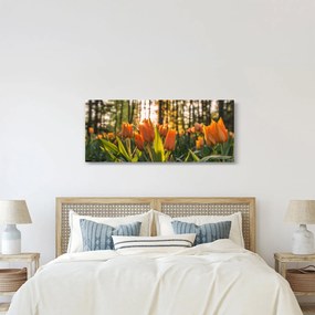 Tablou - lalele potocalii (120x50 cm)