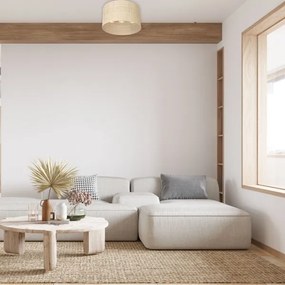 Lustră aplicată RATTAN 3xE27/60W/230V ratan