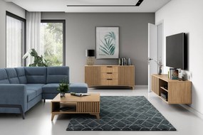 OFERTA Comoda TV de perete ENTSIAN 150x40cm, stejar artisan II. calitate