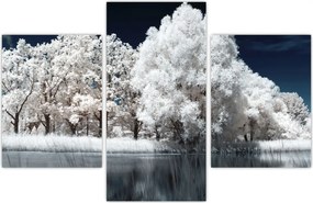 Tablou - Albă ca Zăpada Albă ca Zăpada Copaci (90x60 cm)