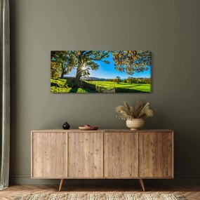 Tablou Privire la câmp (120x50 cm)