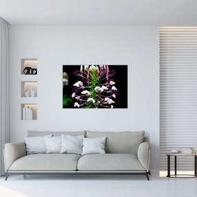 Tablou cu floare (90x60 cm)