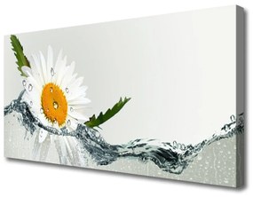 Tablou pe panza canvas Daisy Art Apă Galben Alb Albastru