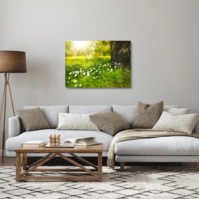 Tablou pe sticlă cu poiana și flori (70x50 cm)