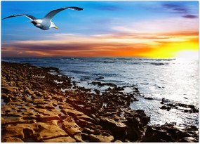 Tablou - Pescărușul zboară deasupra coastei (70x50 cm)