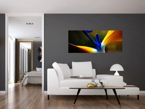 Tablou - Floare exotică (120x50 cm)