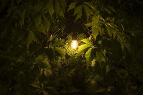 Bec Vintage LED 0.5W(6W), dulie E27, lumina calda(2700 K), 50 lm, GTV