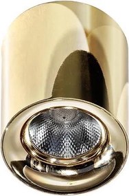 Azzardo AZ2846 - Plafonieră LED MANE/10W/230V